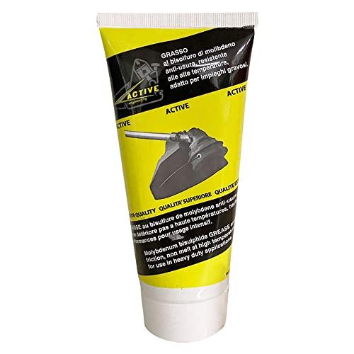 Active Grasso al Bisolfuro di Molibdeno