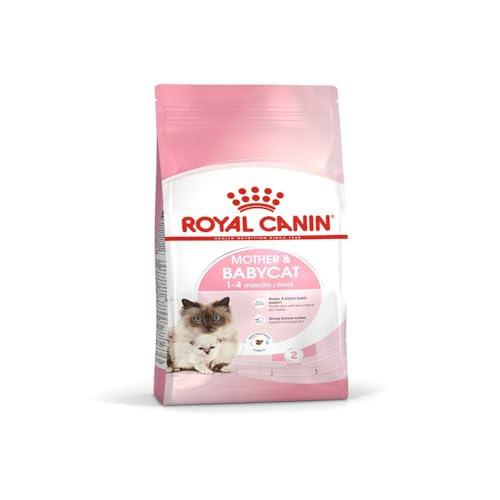 Royal Canin Babycat 34 - Alimento Completo per Gattini da 1 a 4 Mesi - 4 kg