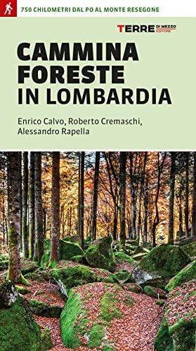 CamminaForeste in Lombardia: 750 km dal Po al Resegone