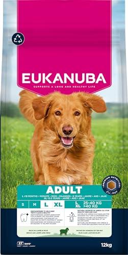 Eukanuba Adult Large Breed Agnello e Riso - Alimento Completo per Cani di Taglia Grande