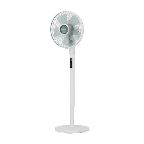 Rowenta Turbo Silence Extreme + Ventilatore a Piantana