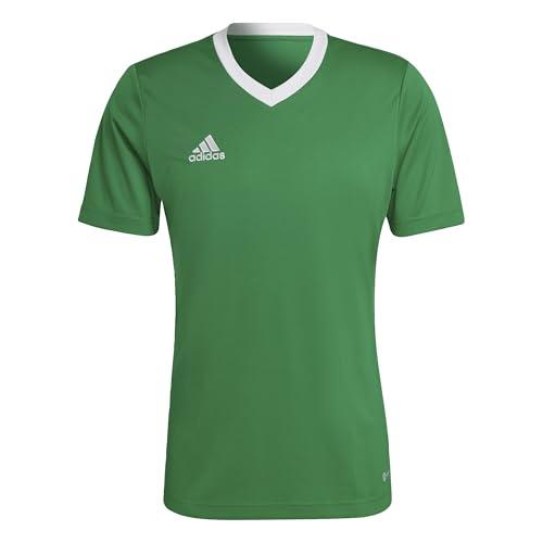 adidas Entrada 22 Short Sleeve Jersey, T-shirt Uomo, Team Green/White, M