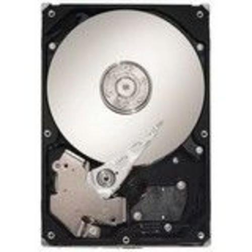 Seagate SV35 ST3500410SV Hard Disk Interno 500GB