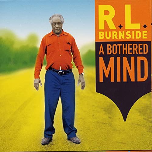 A Bothered Mind - R.L. Stine