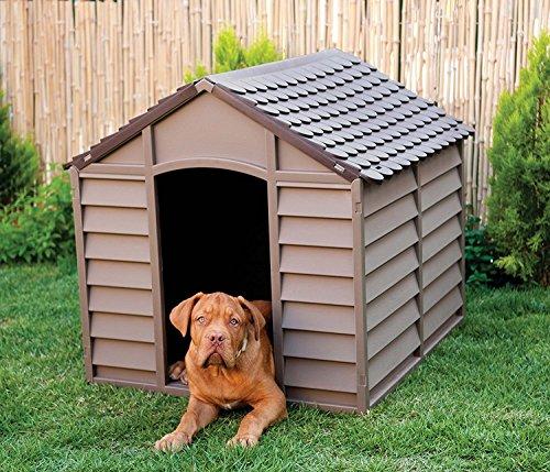 Starplast Cuccia per Cani in Plastica Resistente Moka/Marrone