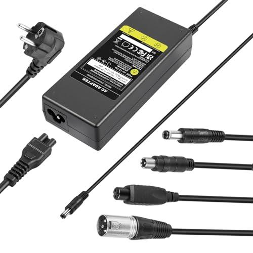 LabTEC Caricabatterie 42V 2A per Batterie E-Bike 36V con Connettori Universali