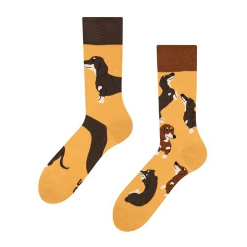 Dedoles Calzini Unisex Bassotto Giallo Taglia 43-46