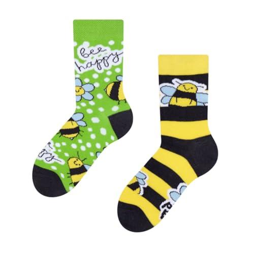 Dedoles Calzini Unisex Api Verdi