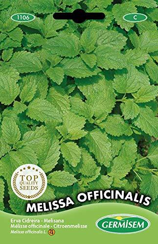 Germisem Melissa Officinalis - Semi di Melissa (1g)