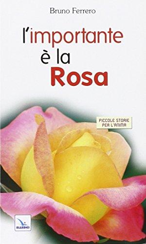 L'importante è la rosa: Piccole storie per l'anima