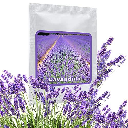 Semi di Lavanda Officinale - 150 pz