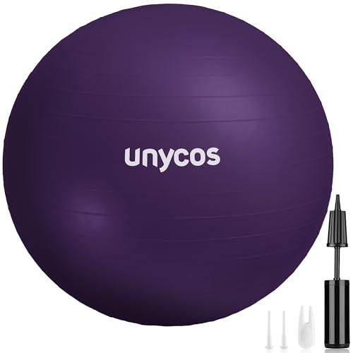 Palla Fitness Antiscivolo 65 cm con Pompa, Fitball Anti-Scoppio