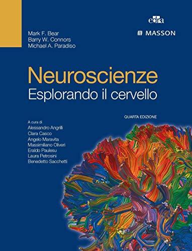 Neuroscienze. Esplorando il cervello