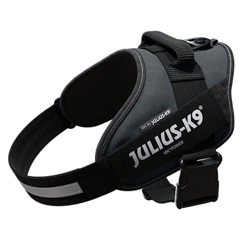 Julius-K9 IDC Power Pettorina per Cani - Taglia L/1, Antracite