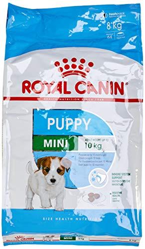Royal Canin Mini Junior - 8 kg