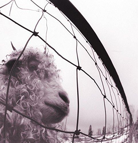Pearl Jam - Vs. (180 Gram Vinyl)