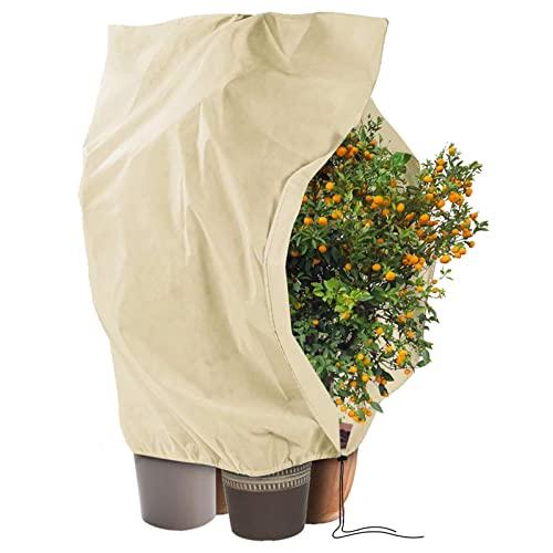 Tessuto Non Tessuto per Piante 240 x 200 cm, 80 g/m², Telo per Piante Inverno Antigelo, Telo Copri Piante Inverno, Antivento e Antigelo con Cerniera e Cordoncino, Facile da Installare