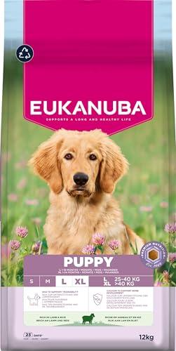 Eukanuba Puppy Large Breed Agnello e Riso 12kg - Mangime Secco per Cuccioli di Taglia Grande