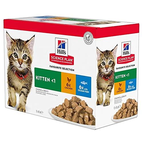 Hill's Science Plan Kitten Favourite Selection in Salsa - Multipack da 12 x 85g