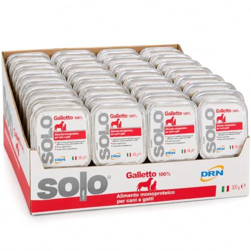 DRN Solo Galletto 100 g confezione 32 pack 3,2kg totali alimento Cane/Gatto