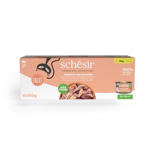 Schesir Tonnetto con Salmone in Gelatina per Gatti Adulti
