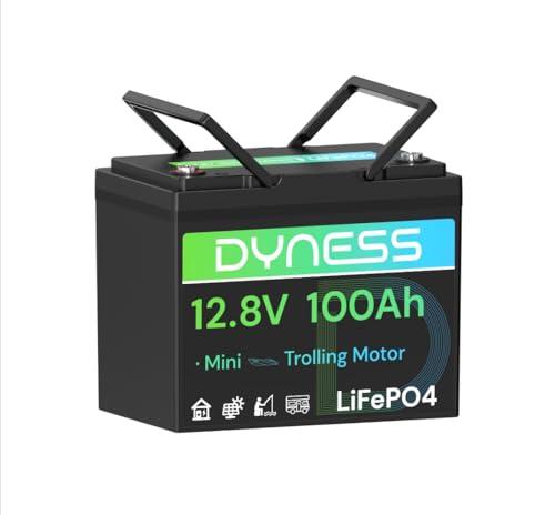 Batteria al Litio Dyness 12V 100Ah LiFePO4 Mini con BMS 100A