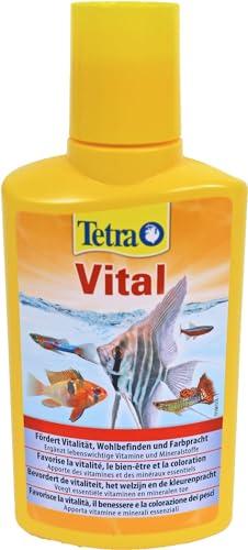 Tetra Vital Vitamine e Minerali, 250 ml
