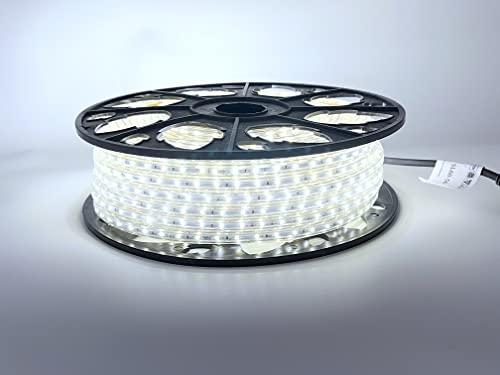 LEDZEIT Profi Serie - Striscia LED 50m Bianco Freddo
