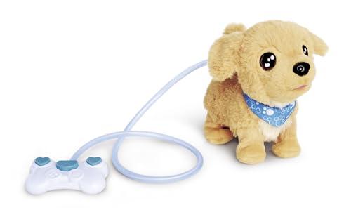 Simba Chi Chi Love Loomy Golden Retriever