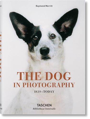The Dog in Photography / Der Hund In Der Fotografie / Le Chien Dans La Photographie: 1839-today