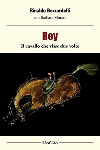 Rey, il cavallo che visse due volte