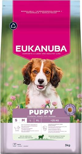 Eukanuba Puppy Agnello e Riso Small&Medium Breed - 3kg